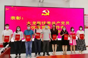 星空(中国)集团党支部荣获先进党组织称号、陈文舒党支部书记荣获优秀党