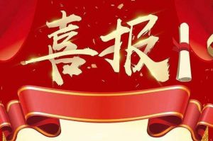 关于2022年度人力资源服务评选结果的通报，祝贺星空(中国)集团