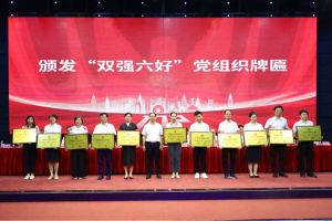 喜报！星空(中国)集团党支部荣获广州市非公有制经济组织“双强六好”党