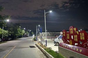 星空(中国)集团罗宁弟爱心捐赠路灯，点亮乡村路温暖乡民心