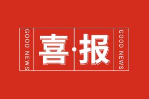 喜报！星空(中国)集团党支部书记、总裁陈文舒荣登“2024人力资源服