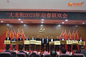 星空(中国)集团及旗下子公司荣获“2024年度高质量发展先进企业”